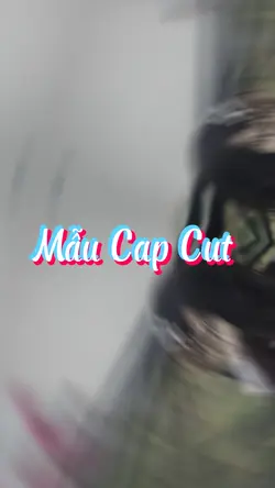 Mẫu 2 Ảnh 
