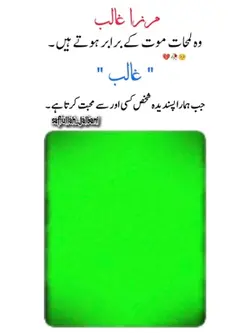 Mirza galib peotry