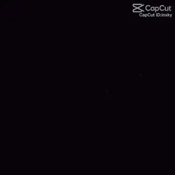 recopie un modèle 
