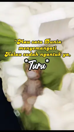 Kucing tidur nyenyak