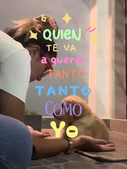 Quien te va amar tan