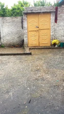 Baran 