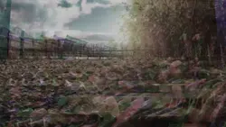 Lanscape slowmo