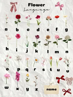 Flower Language 