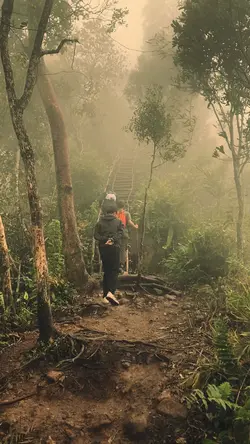 1 video alam