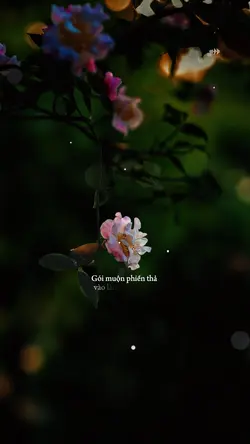 Thôi mỉm cười mặc kệ