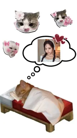 kucing tidur