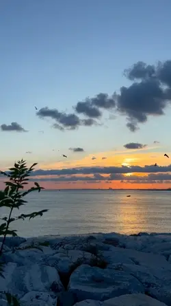 clocks ~ slowmo