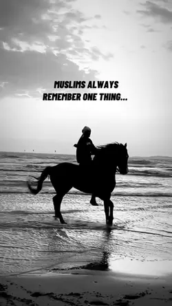 One Ummah