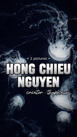 Hồng Chiêu Nguyên