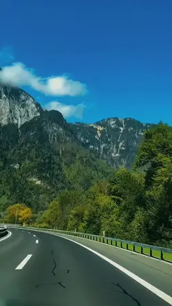 Cinematic Nature