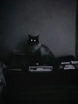 Scary