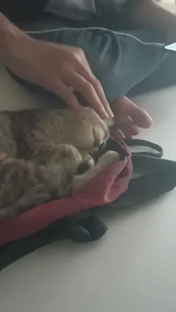 kata lucu