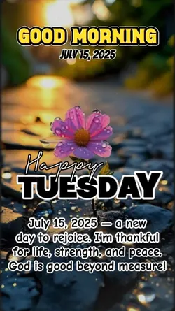 Happy Tuesday