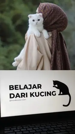 belajar dari kucing 