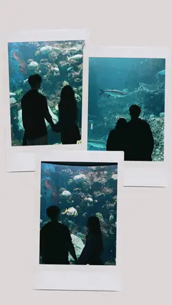 3 polaroid