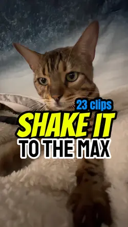 Shake it to the max!