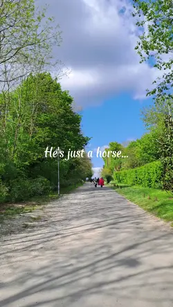 He's just a horse...