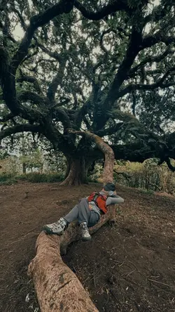 satu video 4 foto