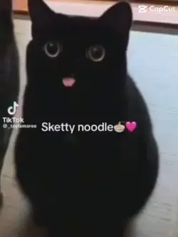 sketty nodil
