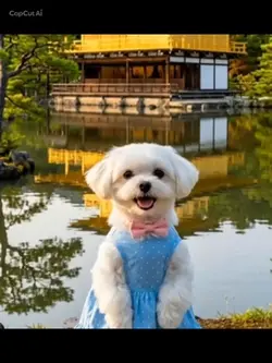ティアラはなたば