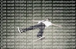 bnsıcaklarainanmyrm
