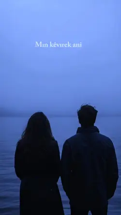 Yeni Şablon 