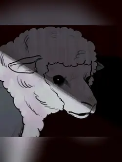 WOLF SHEEP
