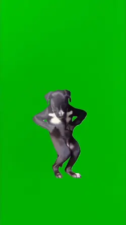 DANCING DOG MEME
