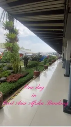 Transisi holiday 