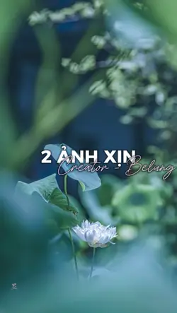 tái sinh remix