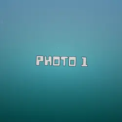 1 PICT #2
