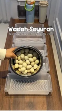 WADAH MULTIFUNGSI 