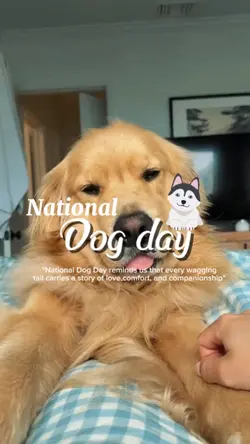 national dog day