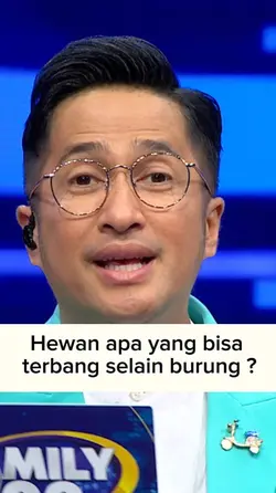 Laba-laba terbang
