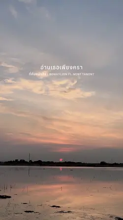 ที่คั่นหนังสือ | BOWKYLION