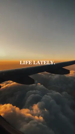 Life Lately 