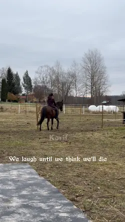 Love this gelding sm