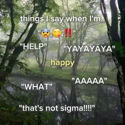 things I say when..
