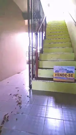 imobiliária viral