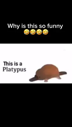 Platypus