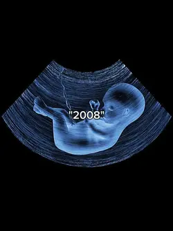 2008 vs 2025