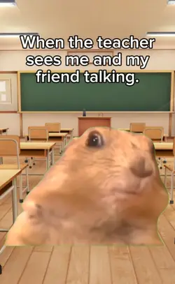 the teacher