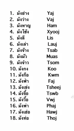 mẫu hmoob 1 ảnh 