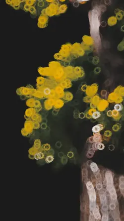 new slowmotion trend