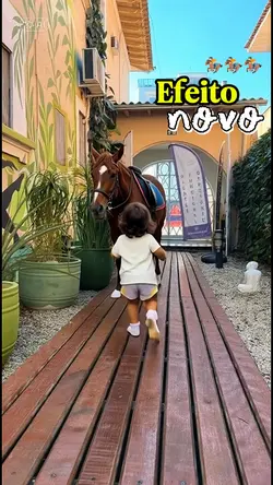 monta no cavalo