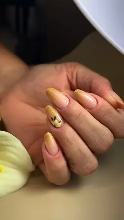 nails transision