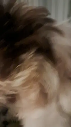 kkkk