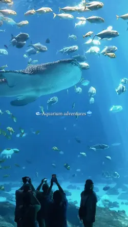 vlog aquarium