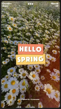 hello spring